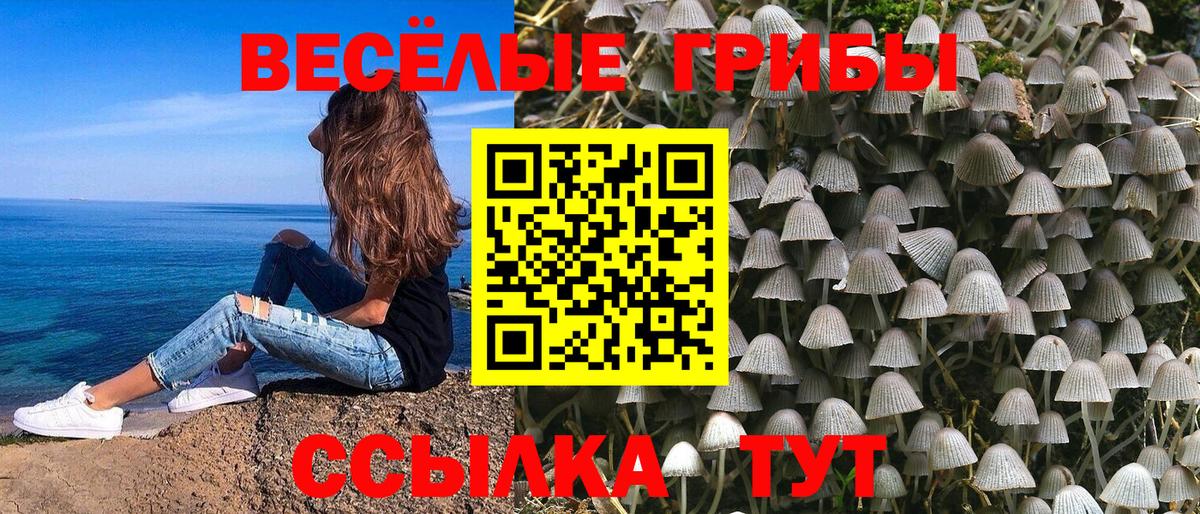 Псилоцибиновые грибы прущие грибы  Вход с VPN  купить   Королёв  Галлюциногенные грибы мицелий 